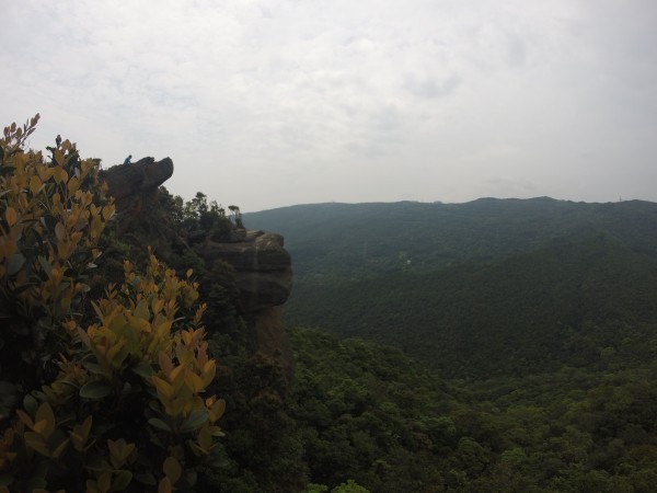 幽靜夢湖新山遠眺239736