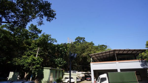 大棟山之縱302456