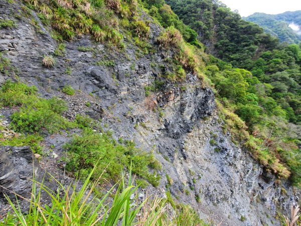 【花蓮秀林鄉】祖輪山938358