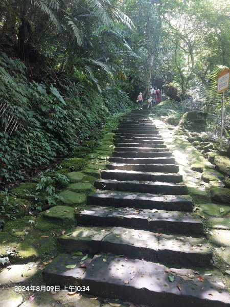 2024.08.09 苗栗獅頭山，小百岳#29.標高492m2568261