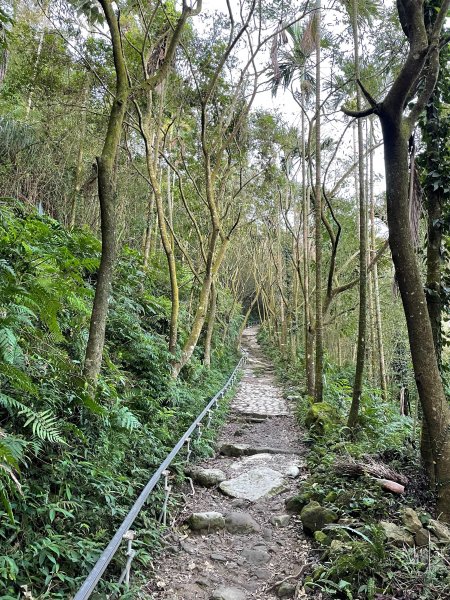 關仔嶺大凍山 小百岳1855318