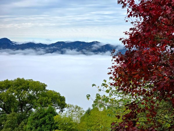 馬那邦山之雲海／雲瀑／楓紅／太陽琉璃光2676340