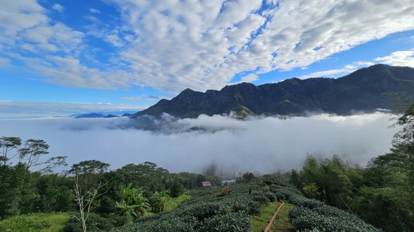 241122-慢走溪頭六連峰（大崙頭山、貓冬望山、民眾坪山、樟空崙山、志騰山、竹崙山）。美美兔沒在怕2654747