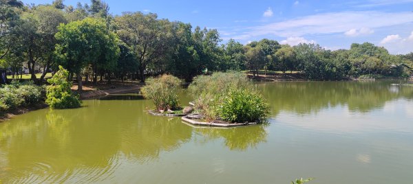 八德埤塘生態公園2890767