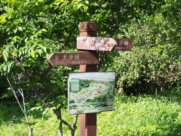 《台中》龍井竹坑南寮登山步道O型915494