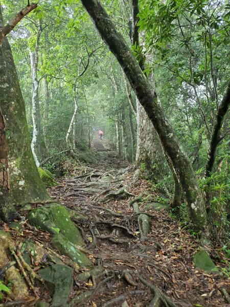 小百岳-馬那邦山1082605