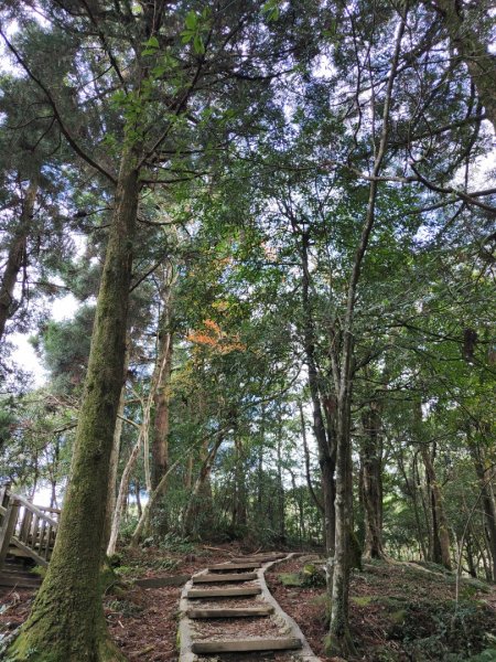 2023.12.27 東眼山2838855