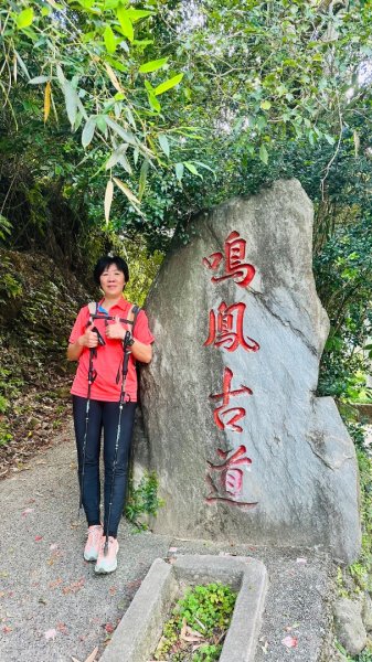 1140419鳴鳳古道2765869