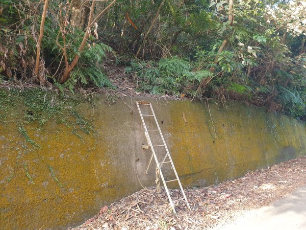 飛沙17連峰2701057