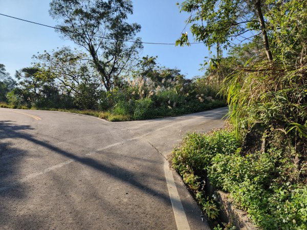 20250114石井山、榴子坑山、後脊山、龍頂山2728607