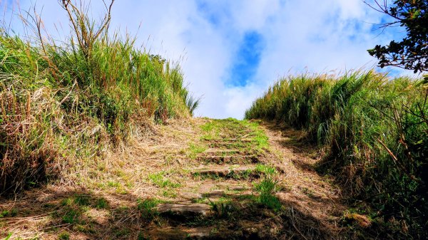 向天蝦不蝦2936817