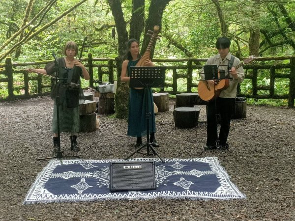 端午盛夏消暑「森林癒」，就在「拉拉山巨木音樂會-森之樂章」