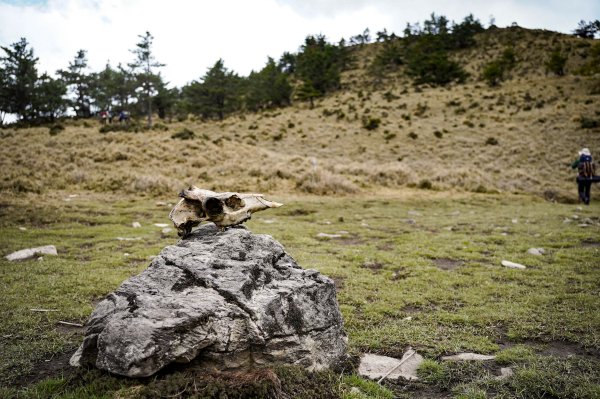 戒茂斯上嘉明湖三天兩夜2769420