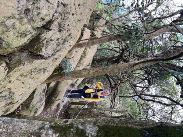 龍麟山-藤枝森林遊樂區-藤枝山-中之關1608323