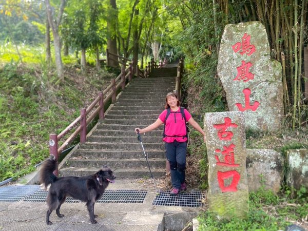 苗栗縣獅潭鄉鳴鳳古道O型縱走