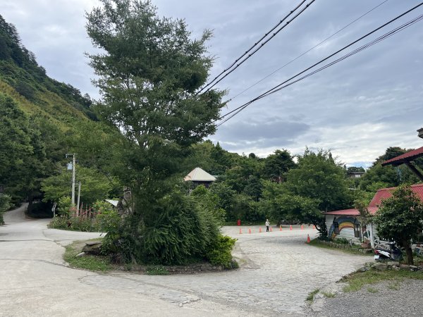 2025_0524 司馬庫斯神木群步道2797178