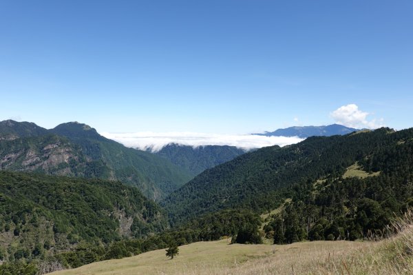 阿興阿賢｜7天6夜雪山西稜逆走＋雪北縱走全紀錄3000736