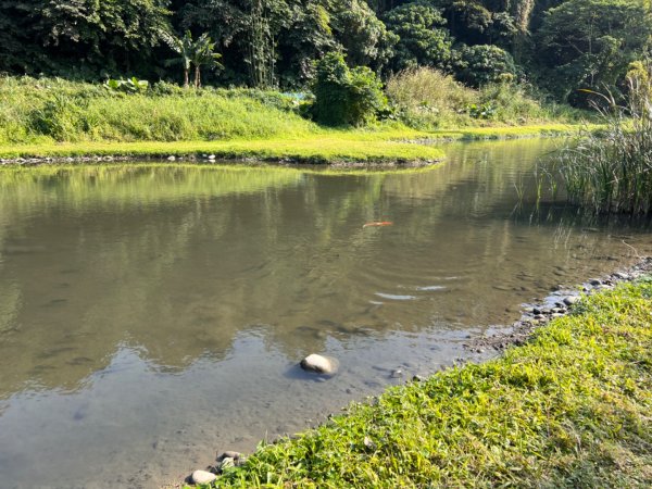 北車-桃園-齋明寺-自行車道-中庄調整池-七張-月眉2684810