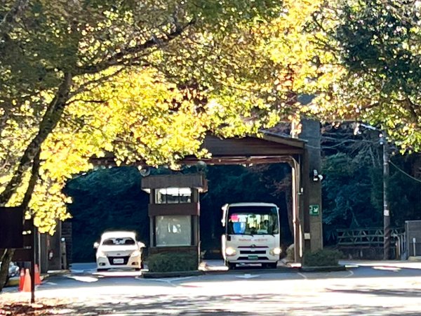 船型山環走大雪山210林道2978013