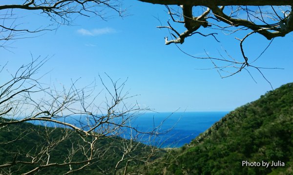 恆春半島第一高峰-里龍山(竹坑登山口入)878674