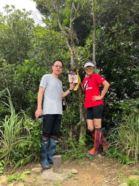 6/18(日)大台北天際線之二格公園上二格山(小百岳)下貓空賞夕陽(搭貓纜)2188874