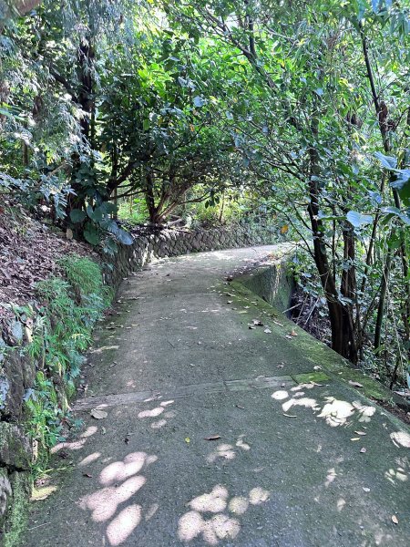 半天岩祈福步道連走修慧步道2622654