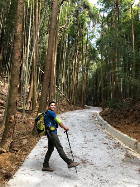 石壁木馬古道.雲嶺之丘.番子田山1303737