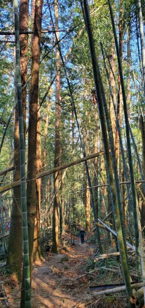 2025-01-30瑞太古道2704381