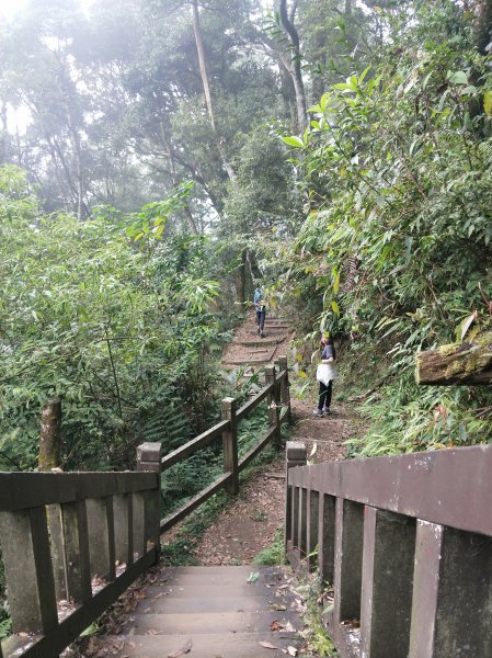 奮起湖大凍山步道714545