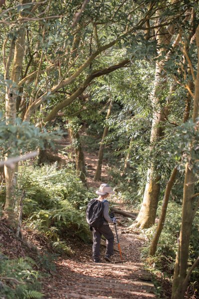 微笑山線 筆架連峰段段｜健行筆記尋寶任務2824785