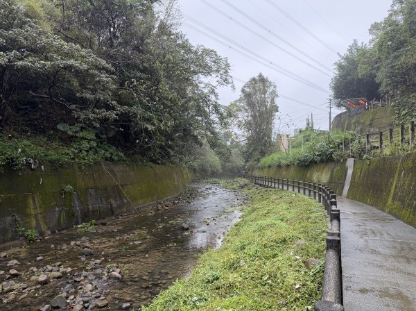 [樟之細路_第一大段RSA01] 2026_0329 清水坑溪景觀3026596