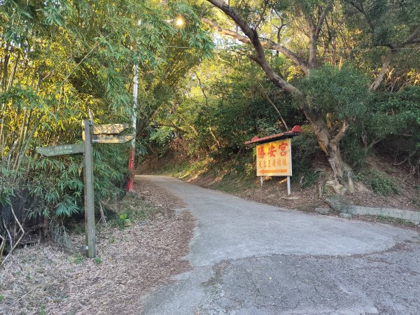 微笑山線：【大棟山系】405高地段2942539