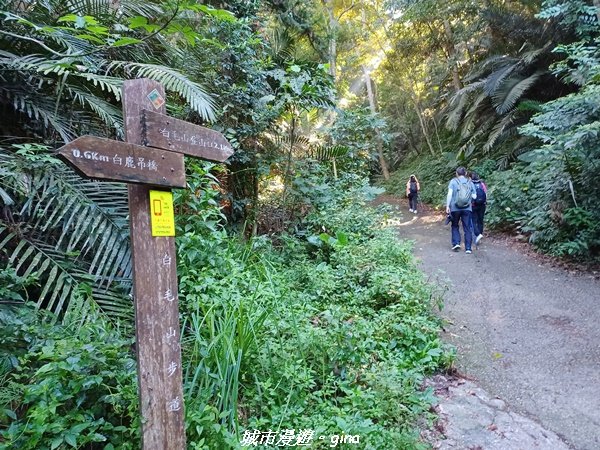 【台中和平】2022「谷關七雄，慢旅台中」登山活動認證。 瘦稜展望好視野。 谷關七雄~白毛山步道1804477