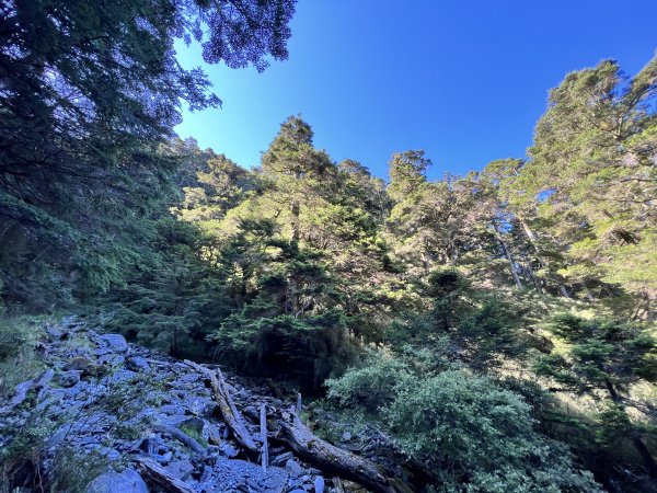 一日百岳系列-1110724奇萊主山單日往返1776681