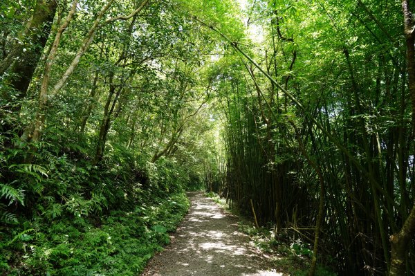 宜蘭 礁溪 三角崙山2548289