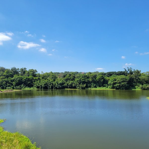 靑草湖環湖步道1838743