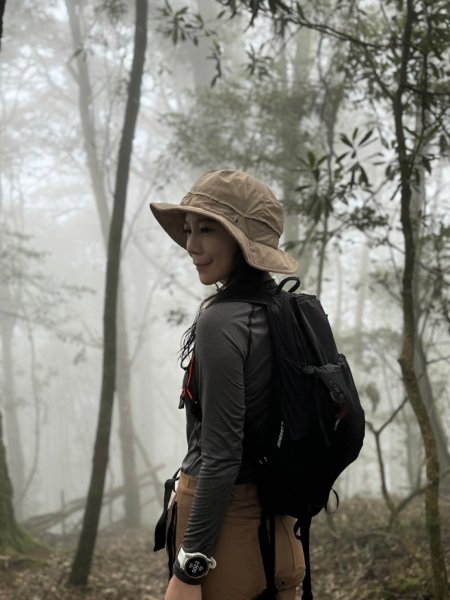 鳶嘴山-稍來山O型縱走(中級山 / 小百岳) 刺激攀岩。山嵐繚繞。傳神小象。杉樹林群。2583542