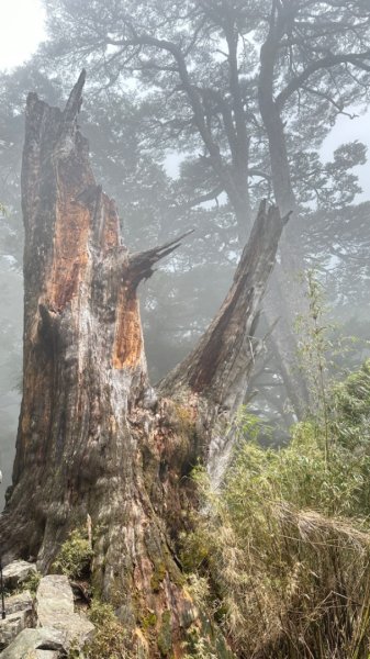 東埔-排雲-玉山西峰-玉山主峰2753135