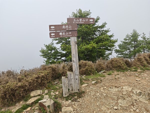 [山海圳_聖山之路_第二段3/4] 2026_0802 麟趾山3109258