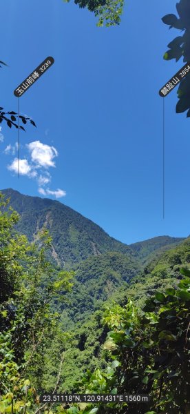 沙里仙林道、沙里仙溪、同富山/埔沙山、東埔山、阿毛巨木2812445