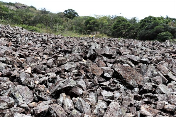 HK - 馬鞍山 (三角石河)1270469