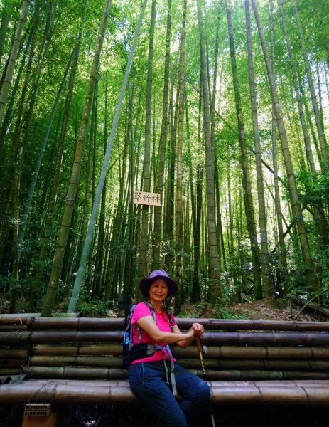 鳶嘴西稜O走（大崠山、長壽山、鳶嘴山）1073408