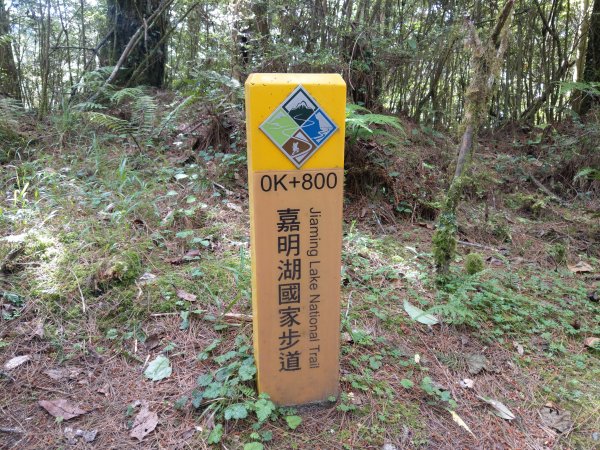 高雄/花蓮/台東-嘉明湖-向陽山-三叉山3053708