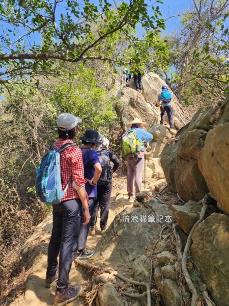 【小百岳】旗尾山，旗靈縱走，步道巨石錯落，攀繩陡坡，具有挑戰性2289334