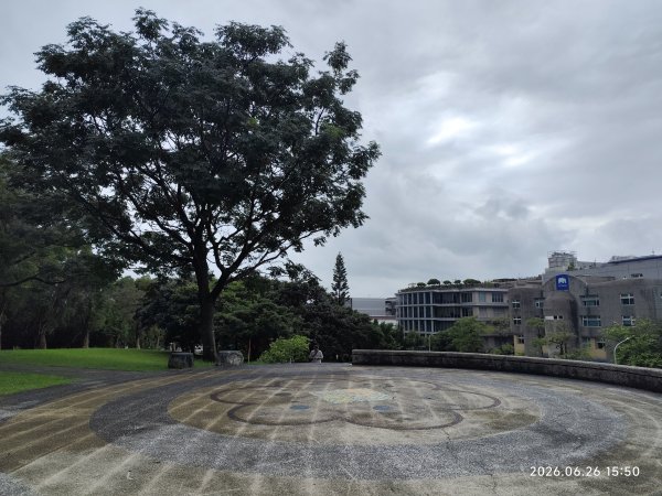 內湖瑞光公園3083331