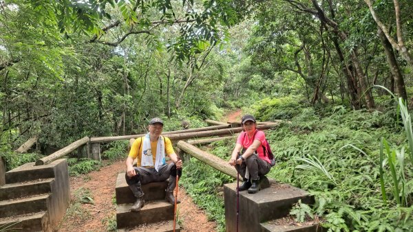 (4/10)蓮華山古道群：飛龍步道，進香步道，採茶古道，載熙古道2247360