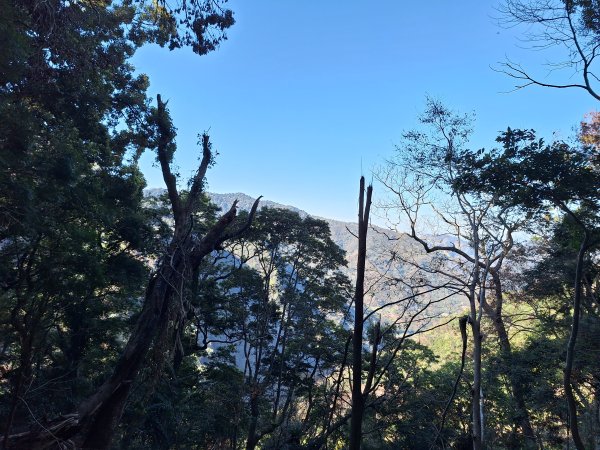 泰安麻必浩林道南坑山O型202502282724657