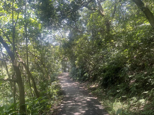 [跟著2025雙北世壯運探索雙北市-7/21] 2025_0615 疾風足球道（輔仁大學－明志路二段2814972