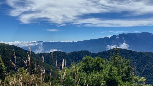 桃山。今夏最美的360度大景1482795