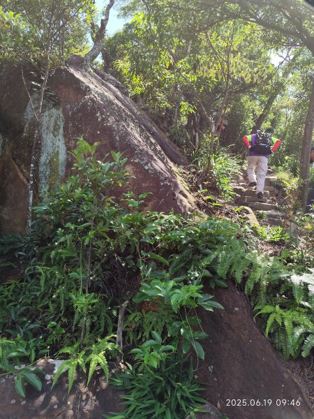 內湖金面山環狀步道2815673
